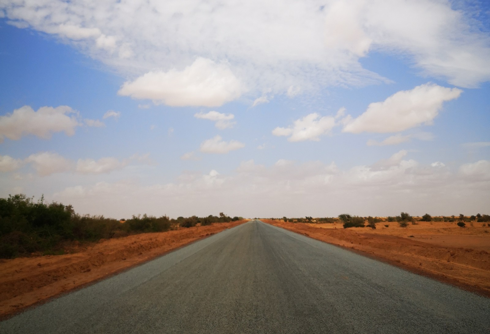 1595819137123171.jpg 1595819137123171.jpg