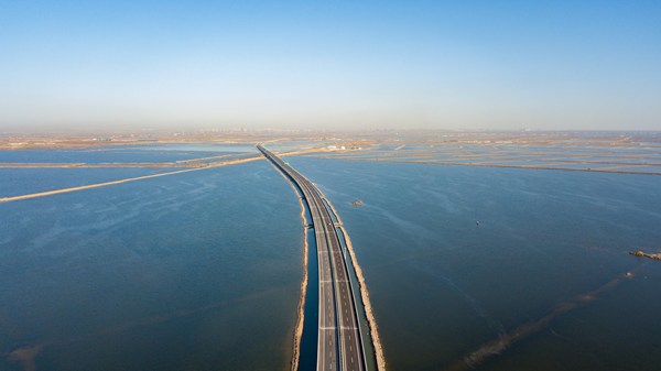 PA����|�й�������PlayAce