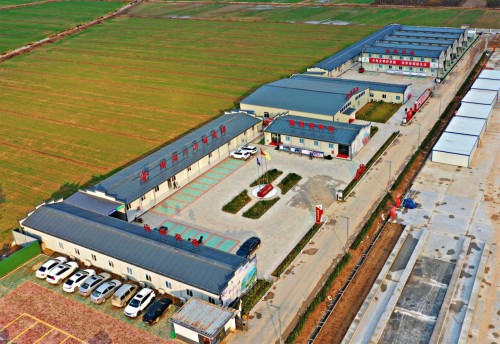 PA����|�й�������PlayAce